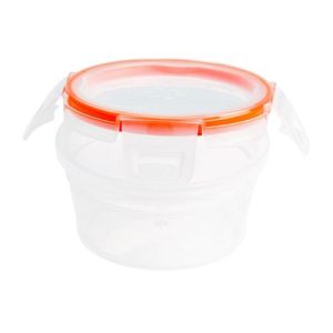 Snapware® Total Solution® 1.21-cup Plastic Food Storage Container